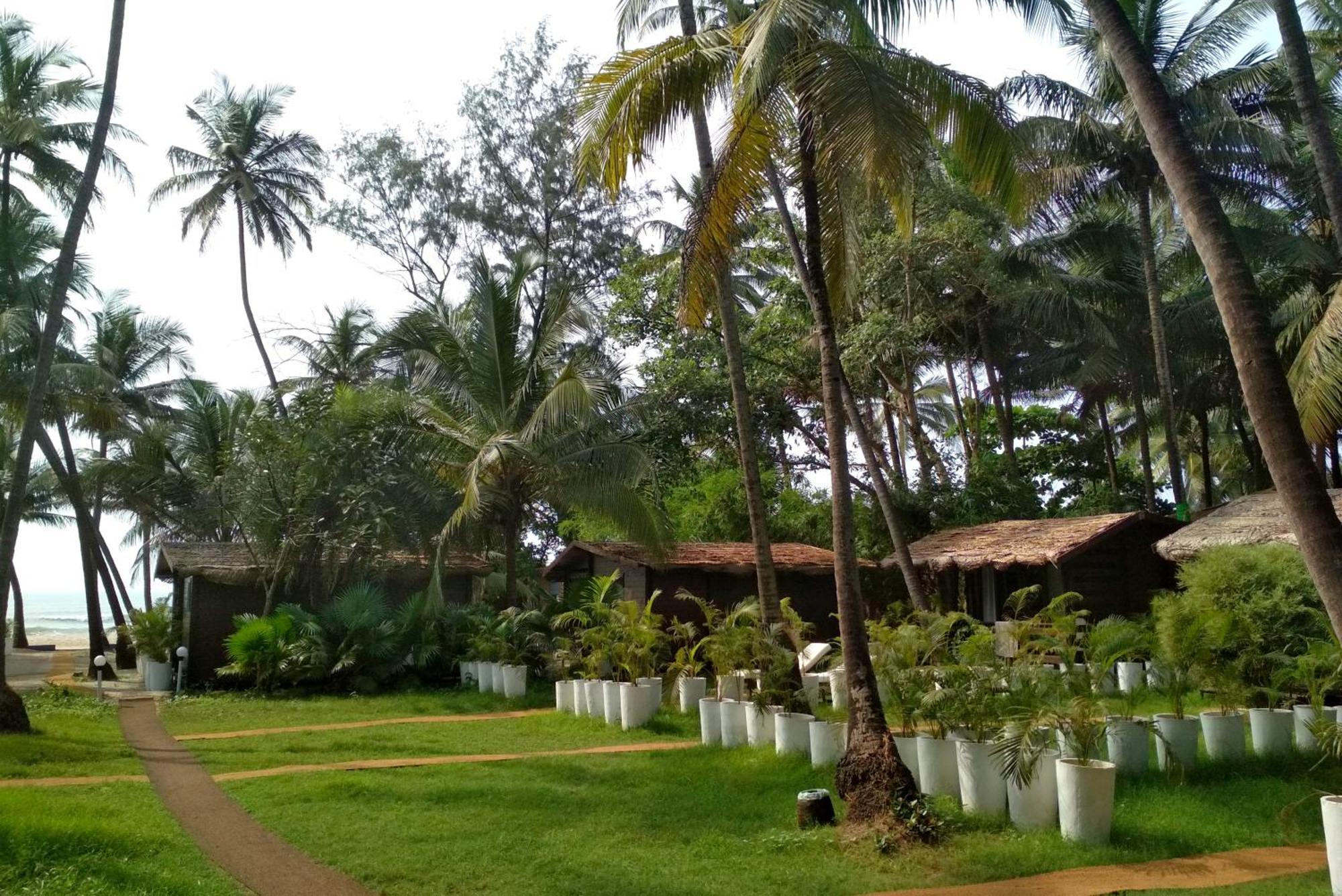 Mamagoa Beach Resort Mandrem Ngoại thất bức ảnh